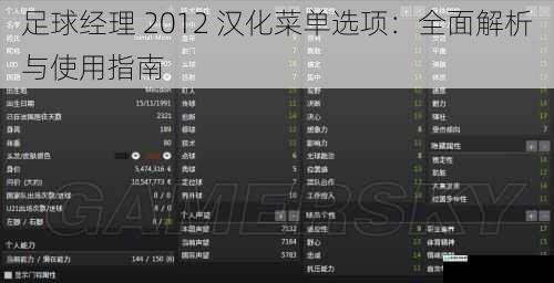 足球经理 2012 汉化菜单选项:全面解析与使用指南