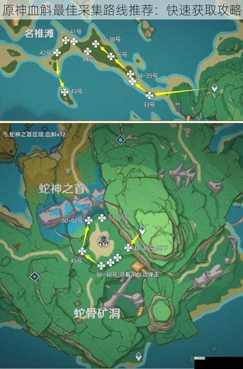 原神血斛最佳采集路线推荐:快速获取攻略
