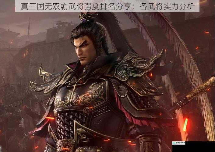 真三国无双霸武将强度排名分享:各武将实力分析