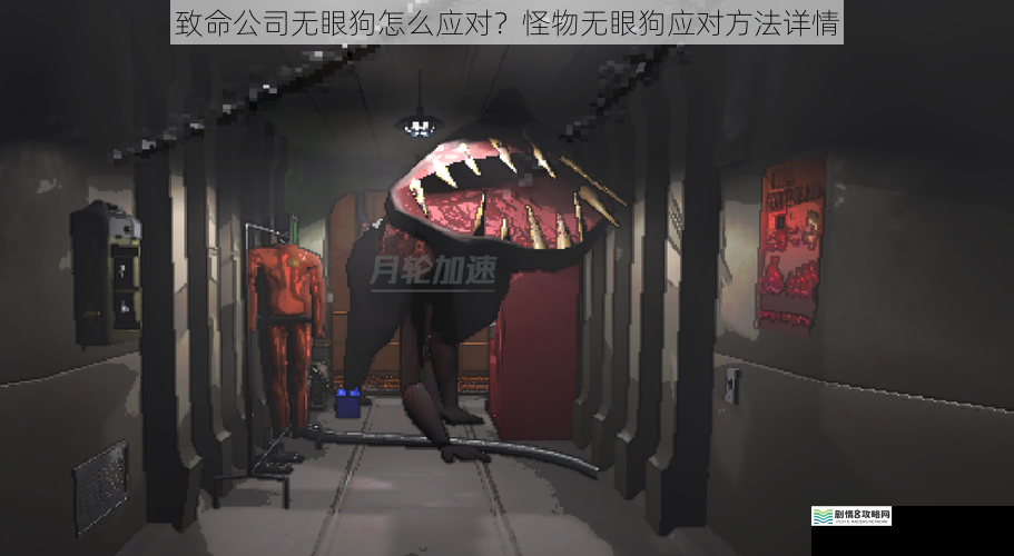 致命公司无眼狗怎么应对?怪物无眼狗应对方法详情