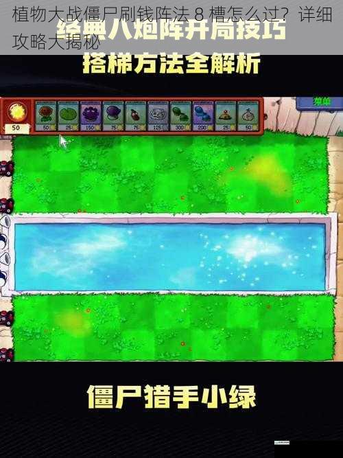 植物大战僵尸刷钱阵法 8 槽怎么过?详细攻略大揭秘