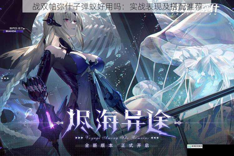 战双帕弥什子弹蚁好用吗:实战表现及搭配推荐