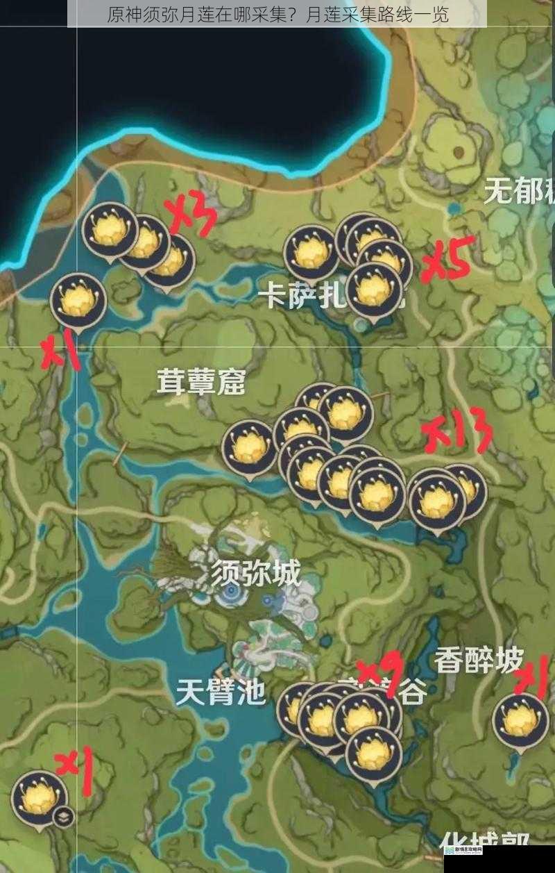 原神须弥月莲在哪采集?月莲采集路线一览