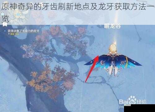 原神奇异的牙齿刷新地点及龙牙获取方法一览