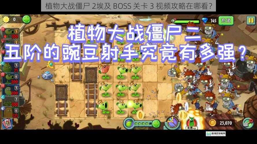 植物大战僵尸 2埃及 BOSS 关卡 3 视频攻略在哪看?