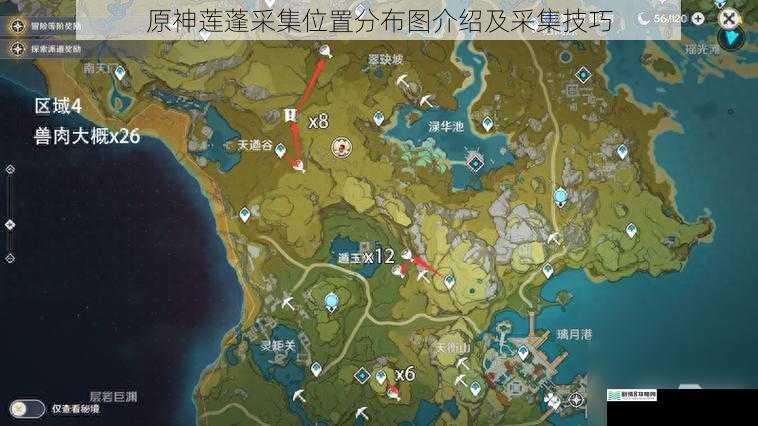 原神莲蓬采集位置分布图介绍及采集技巧