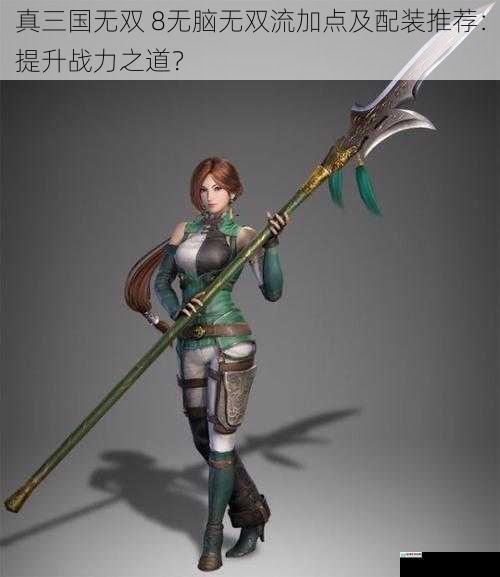 真三国无双 8无脑无双流加点及配装推荐:提升战力之道?