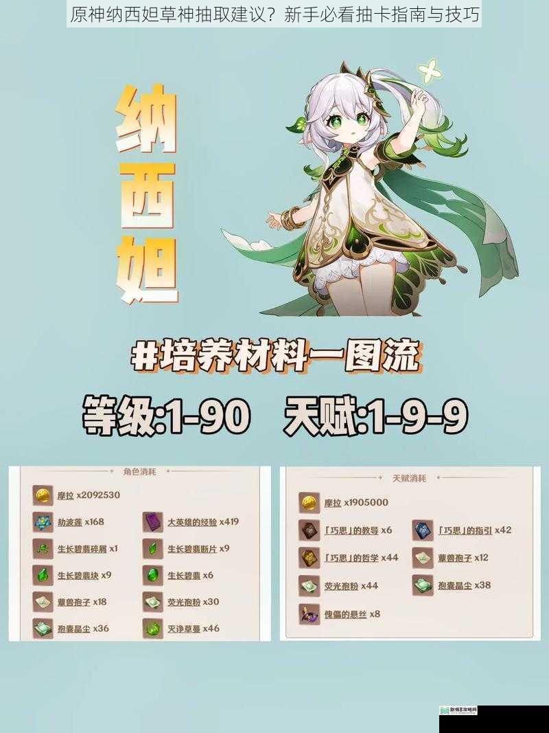 原神纳西妲草神抽取建议?新手必看抽卡指南与技巧
