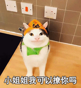 找你姐好玩吗?找你姐简介:包含哪些特色?