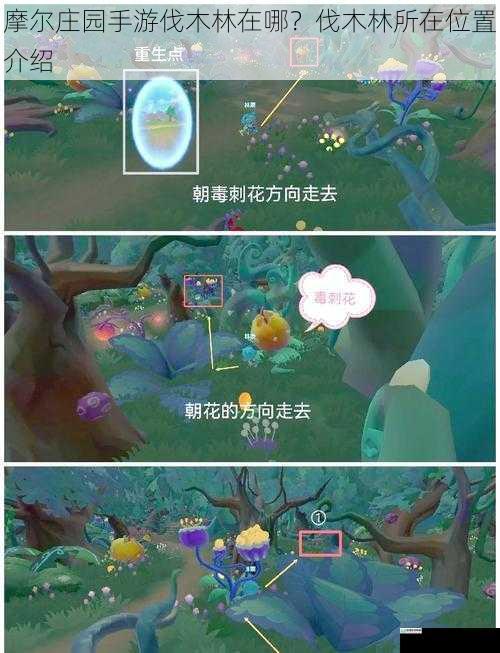 摩尔庄园手游伐木林在哪?伐木林所在位置介绍