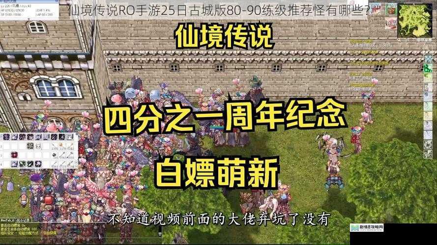仙境传说 RO 手游 25 日古城版 80 - 90 练级推荐怪有哪些?