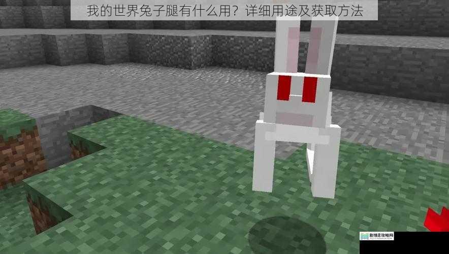 我的世界兔子腿有什么用?详细用途及获取方法