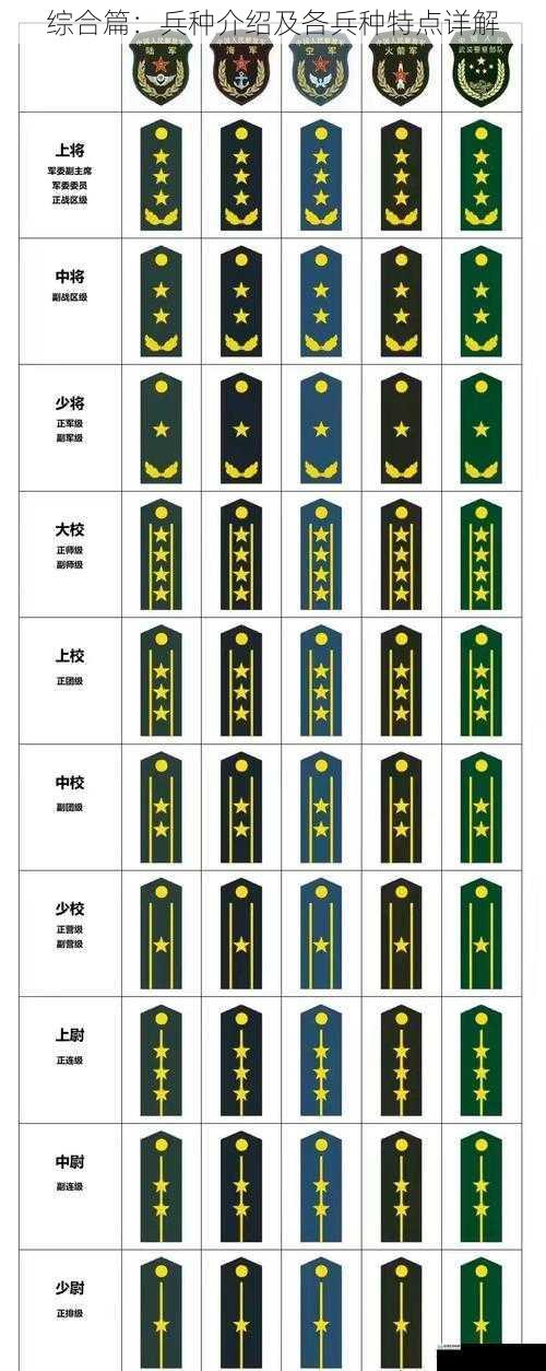 综合篇:兵种介绍及各兵种特点详解