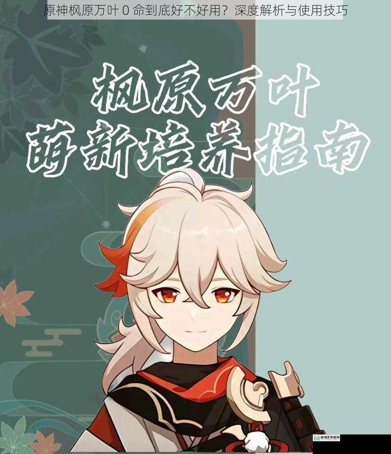 原神枫原万叶 0 命到底好不好用?深度解析与使用技巧