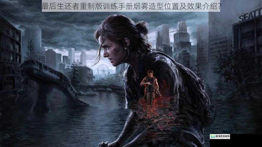 最后生还者重制版训练手册烟雾造型位置及效果介绍?