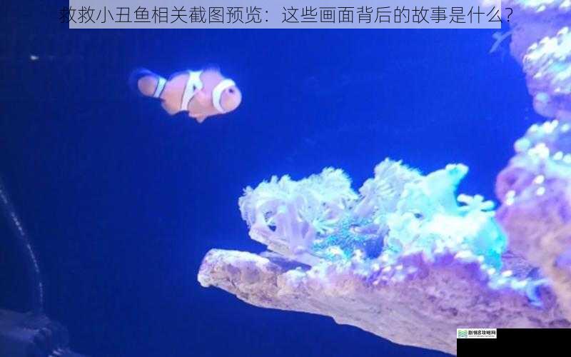 救救小丑鱼相关截图预览:这些画面背后的故事是什么?