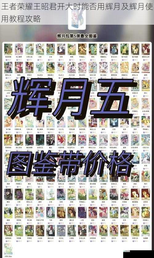 王者荣耀王昭君开大时能否用辉月及辉月使用教程攻略
