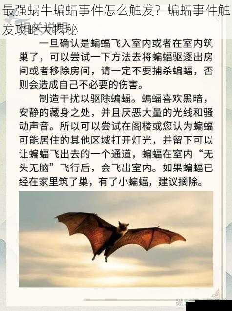 最强蜗牛蝙蝠事件怎么触发?蝙蝠事件触发攻略大揭秘