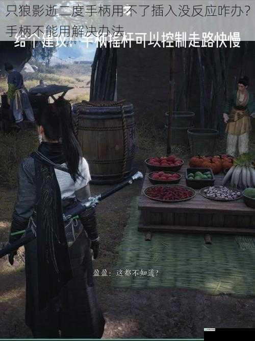 只狼影逝二度手柄用不了插入没反应咋办?手柄不能用解决办法
