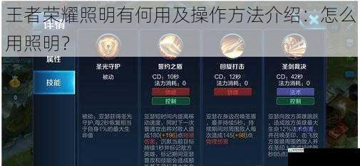 王者荣耀照明有何用及操作方法介绍:怎么用照明?