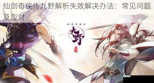 仙剑奇侠传九野解析失败解决办法:常见问题及应对