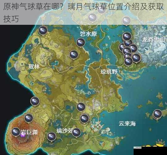 原神气球草在哪?璃月气球草位置介绍及获取技巧