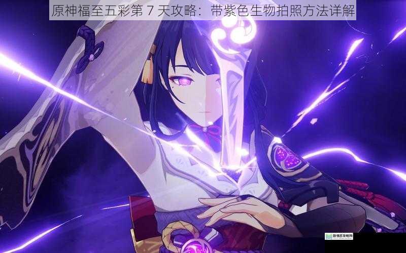 原神福至五彩第 7 天攻略:带紫色生物拍照方法详解