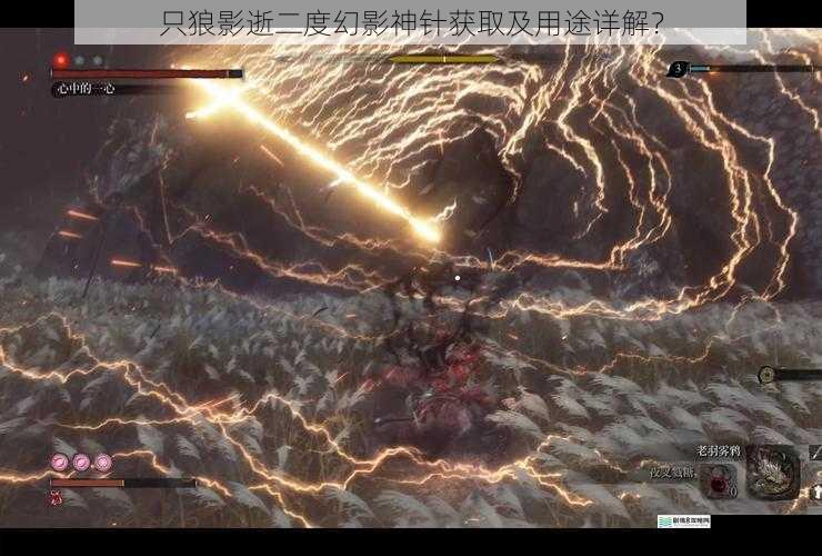 只狼影逝二度幻影神针获取及用途详解?