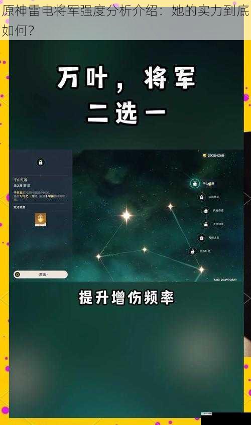原神雷电将军强度分析介绍:她的实力到底如何?