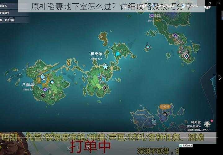 原神稻妻地下室怎么过?详细攻略及技巧分享