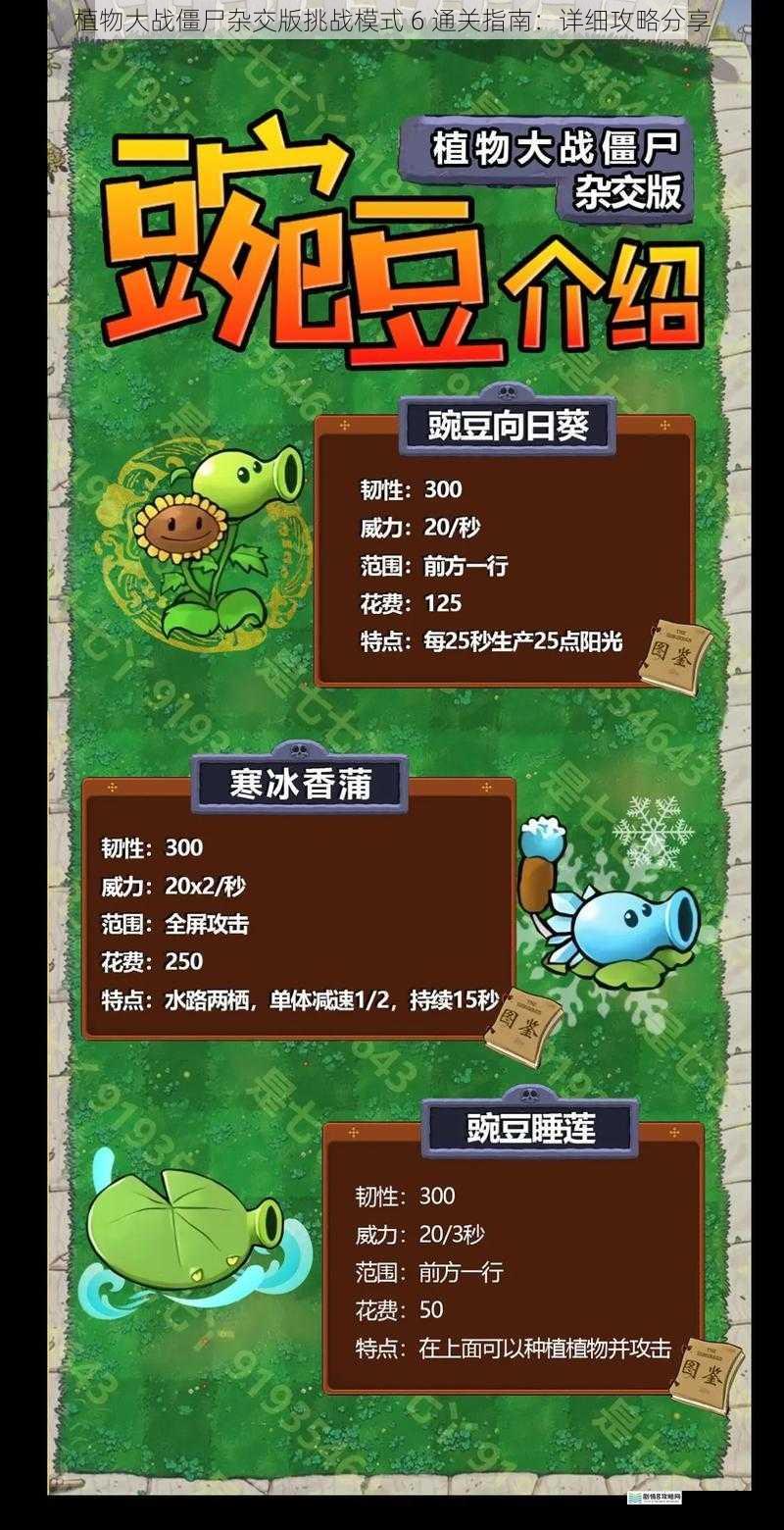 植物大战僵尸杂交版挑战模式 6 通关指南:详细攻略分享