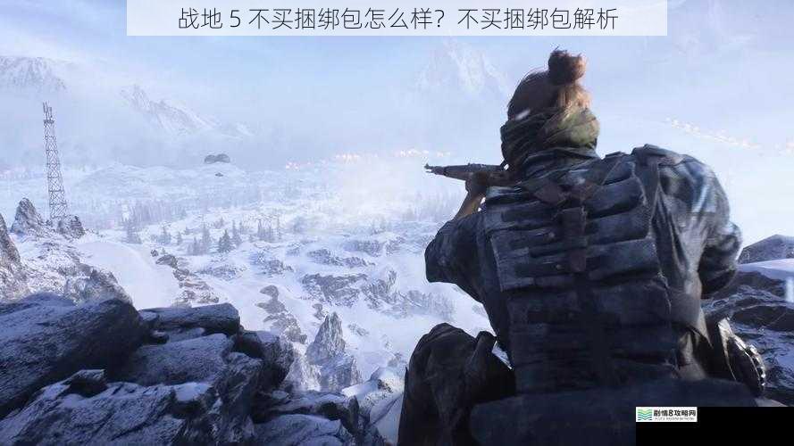战地 5 不买捆绑包怎么样?不买捆绑包解析