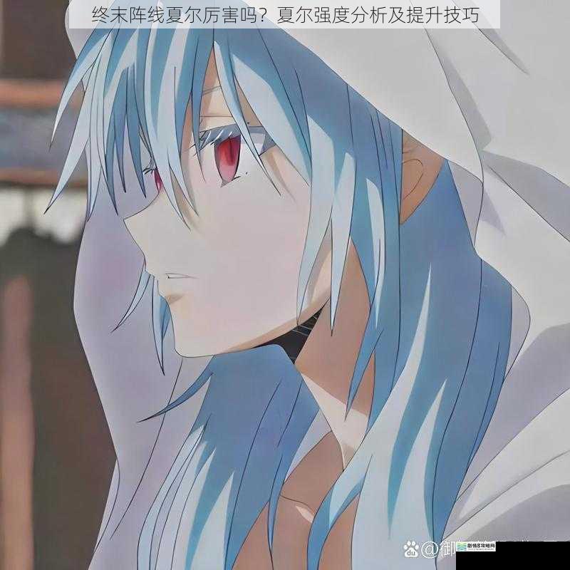 终末阵线夏尔厉害吗?夏尔强度分析及提升技巧