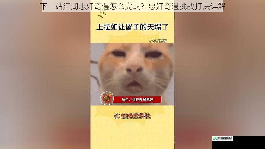 下一站江湖忠奸奇遇怎么完成?忠奸奇遇挑战打法详解