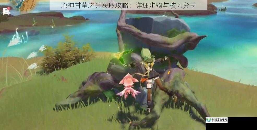 原神甘莹之光获取攻略:详细步骤与技巧分享