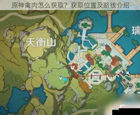 原神禽肉怎么获取?获取位置及路线介绍