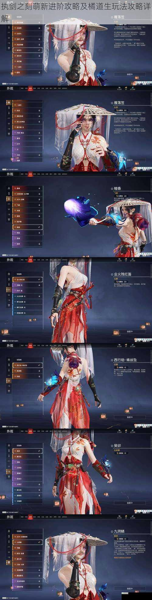 执剑之刻萌新进阶攻略及橘道生玩法攻略详解