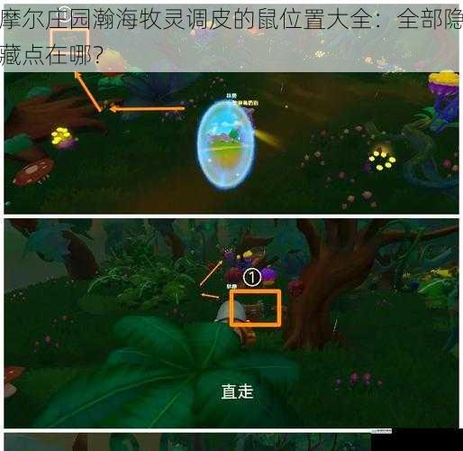 摩尔庄园瀚海牧灵调皮的鼠位置大全:全部隐藏点在哪?