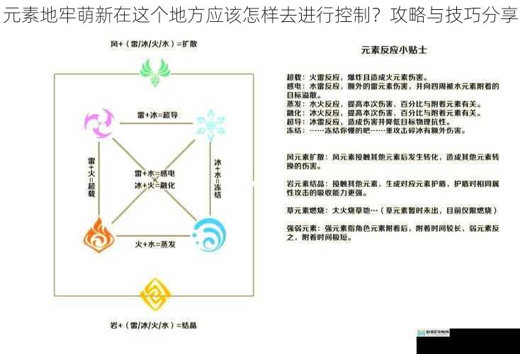 元素地牢萌新在这个地方应该怎样去进行控制?攻略与技巧分享