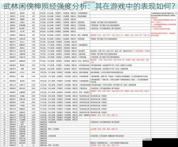 武林闲侠神照经强度分析:其在游戏中的表现如何?