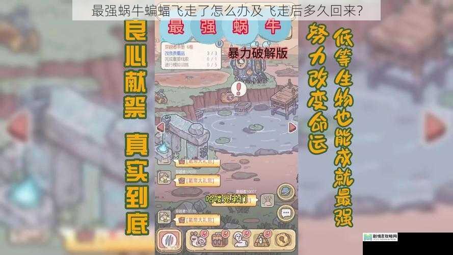 最强蜗牛蝙蝠飞走了怎么办及飞走后多久回来?