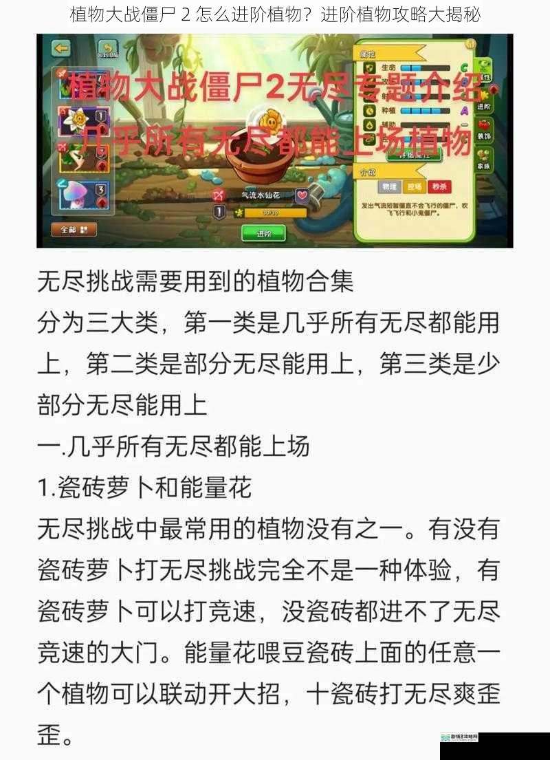 植物大战僵尸 2 怎么进阶植物?进阶植物攻略大揭秘