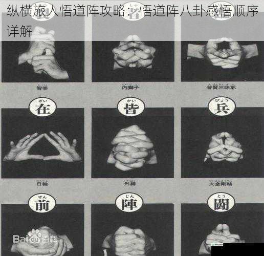 纵横旅人悟道阵攻略:悟道阵八卦感悟顺序详解