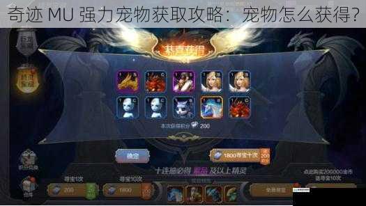 奇迹 MU 强力宠物获取攻略:宠物怎么获得?