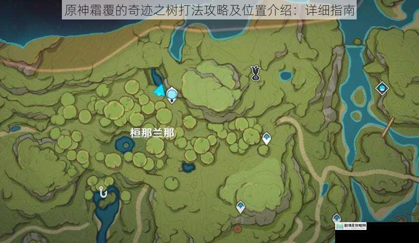原神霜覆的奇迹之树打法攻略及位置介绍:详细指南
