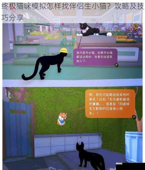 终极猫咪模拟怎样找伴侣生小猫?攻略及技巧分享