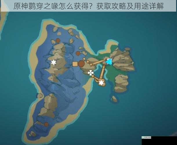 原神鹮穿之喙怎么获得?获取攻略及用途详解