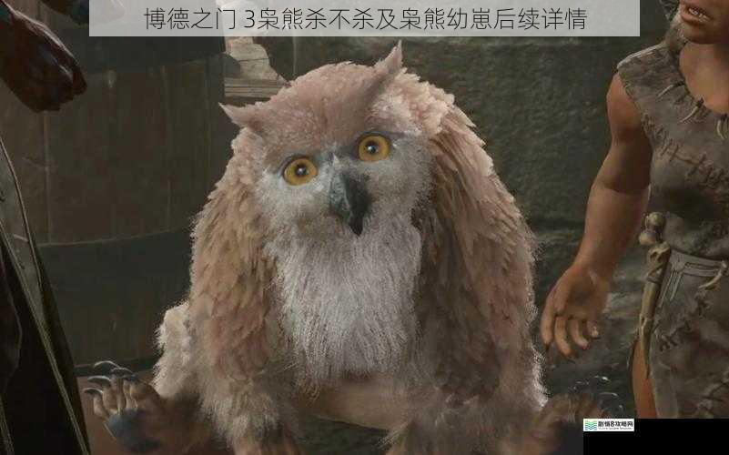 博德之门 3枭熊杀不杀及枭熊幼崽后续详情