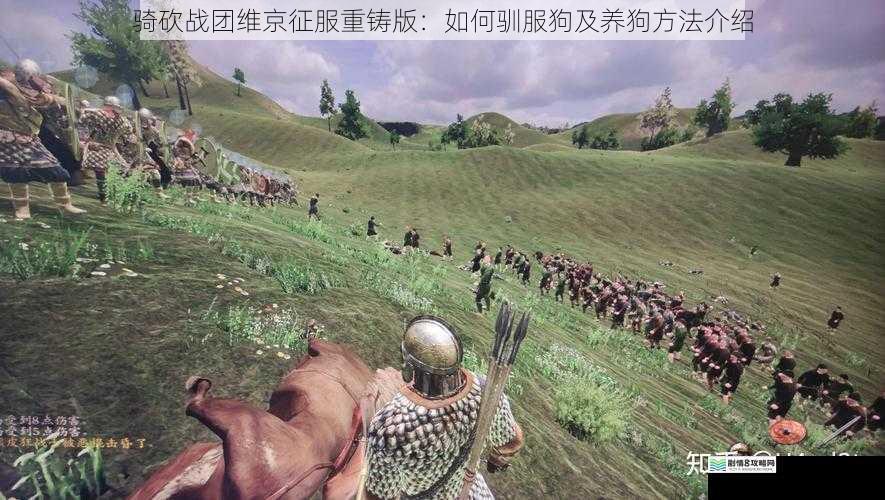 骑砍战团维京征服重铸版:如何驯服狗及养狗方法介绍