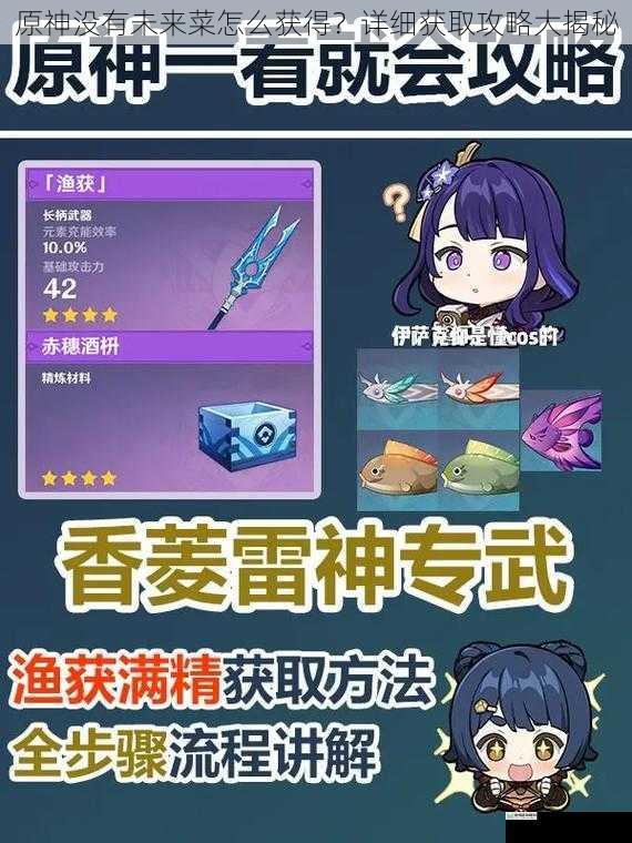 原神没有未来菜怎么获得?详细获取攻略大揭秘